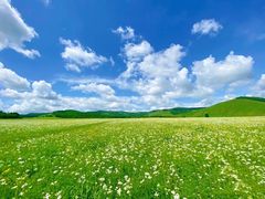 -呼伦贝尔大草原