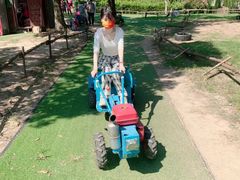 -上海长兴岛郊野公园