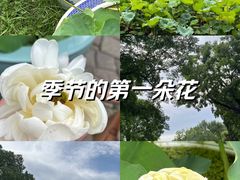 -拙政园