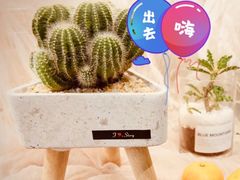 -F.Story 花和故事(新天地店)