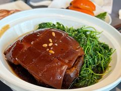 -新梅华餐厅(星悦汇店)