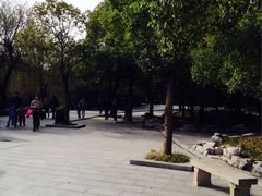 溱湖国家湿地公园-溱湖国家湿地公园