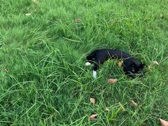 -俺家厨子土菜馆