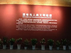 内景-中国湿地博物馆