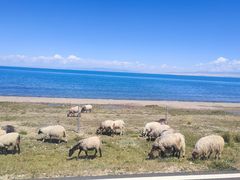 -青海湖国家重点风景名胜区