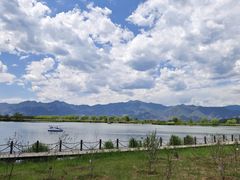 -野鸭湖国家湿地公园