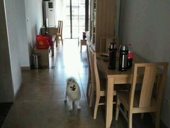 -天鹅湖生态旅游风景区