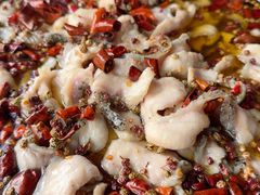 -金三可市井水煮鱼(金碧园店)