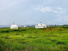 -敕勒川草原