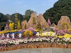 -南山植物园