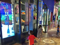 -珠海横琴国家地理探险家中心(创新方)