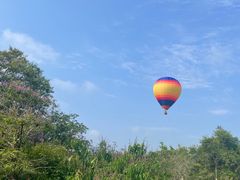 -中国科学院西双版纳热带植物园