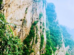 -洛阳白云山景区