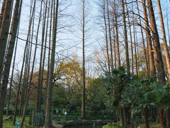 -中山公园