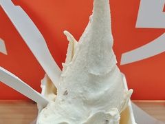 -野人先生现做冰淇淋(西安赛格店)