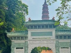-顺峰山公园