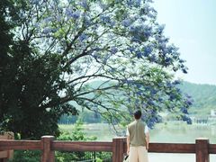 -风云岭森林公园