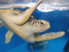 -成都浩海立方海洋公园