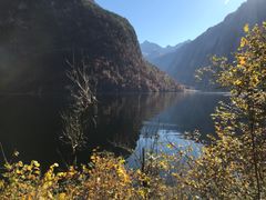 -柯尼希湖
