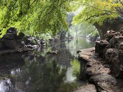-杭州西湖柳莺里酒店