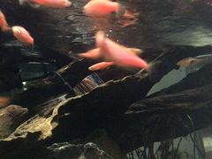 -Together·泰式按摩精油SPA(天山店)