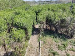 -亲兄弟真人CS团建拓展基地