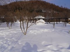 -横道河子东北虎林园