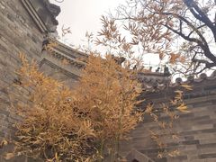 -天津大悲禅院