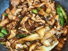 -麻奢鸽农庄·梦里水乡