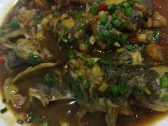 -全乐鱼馆·淳牌有机鱼直营店