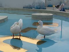 -Blue Concept Cafe&Farm·關於藍