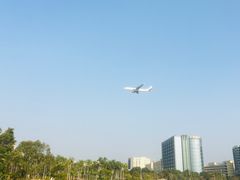 -宝安西湾红树林湿地公园