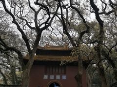-普陀山风景名胜区-法雨禅寺