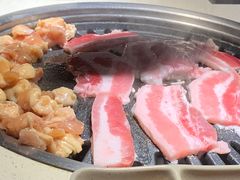 -猫爪爪原切自助烤肉(观音桥阳光世纪店)