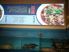-食客堂麻婆豆腐专门店