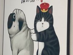 -鼎级派宠物(中南店)