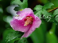 -长辛店二七公园