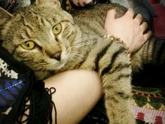 android_upload_pic-盛京一禾