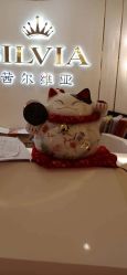 点击看大图 -茜尔维亚修身连锁