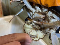-蟹道河蟹大米商行