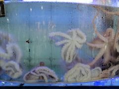 -日照大牌檔•小船海鲜(万平口店)