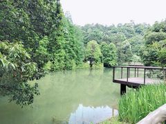 -天花井景区