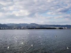 -滇池海埂公园