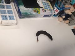 -安徽广播电视台