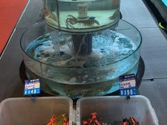 -强记海鲜·大排档(蛇口新街店)