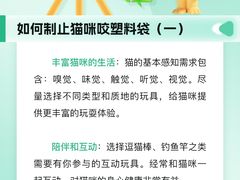 -瑞派申生动物医院·24H夜诊·国际动物医疗中心·骨外科(吴中路店)