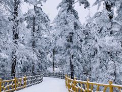 -瓦屋山景区