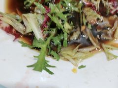 -清真•蜀风园(丁字沽总店)