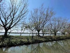 -大湾区中央湿地公园-十九涌