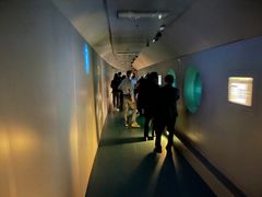 -白鹤梁水下博物馆